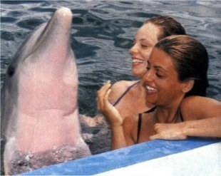 avec les dauphins